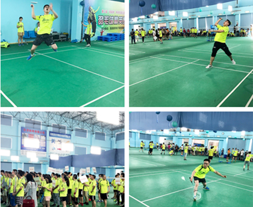 Black Forest Cup Badminton Contest